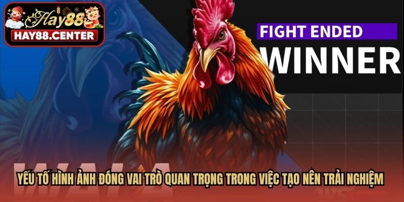 Yếu tố hình ảnh đóng vai trò quan trọng trong việc tạo nên trải nghiệm chất lượng